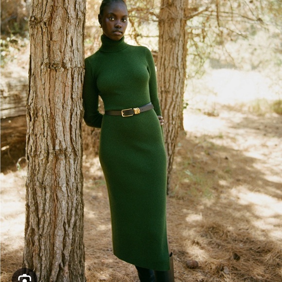 Reformation Robin Cashmere Sweater Dress in Cedar size S - Picture 1 of 4